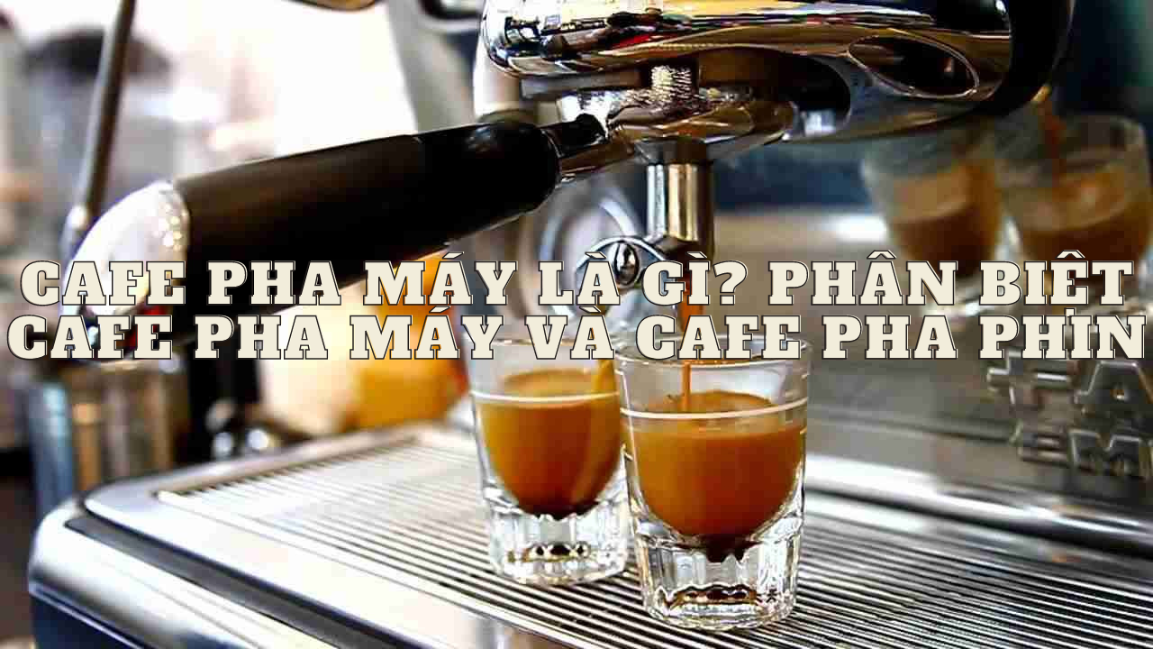 Cafe pha máy là gì? Sự khác nhau giữa cafe pha máy và cafe pha phin?